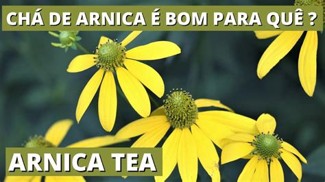 chá de arnica-4